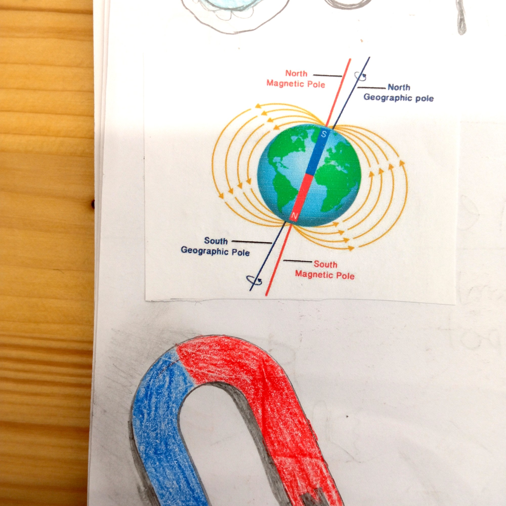 Tallers Extraescolars Escoles Ciència STEAM Magnetisme Imants brúixola