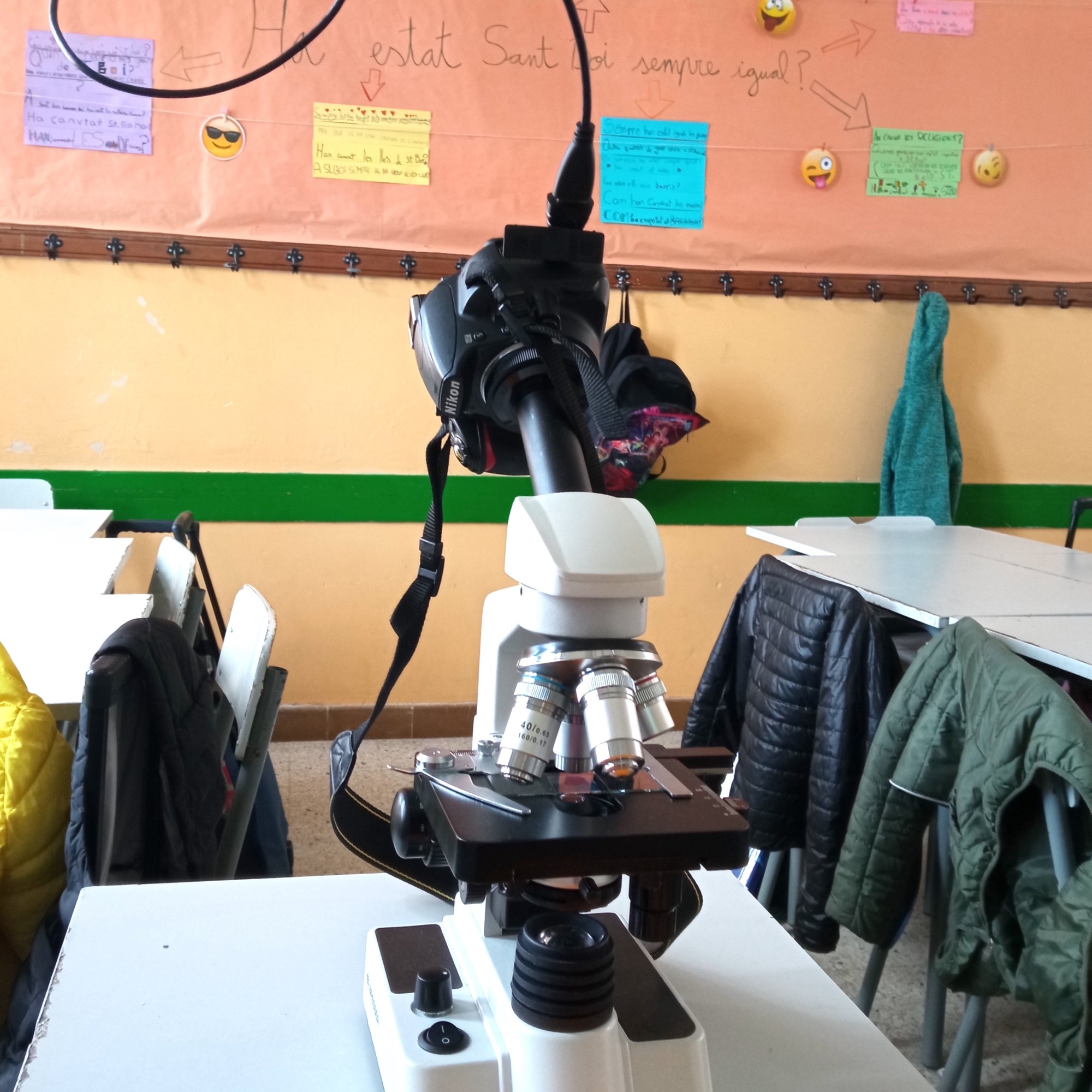 Taller Ciència Escoles Biologia Cel·lular Microscòpia