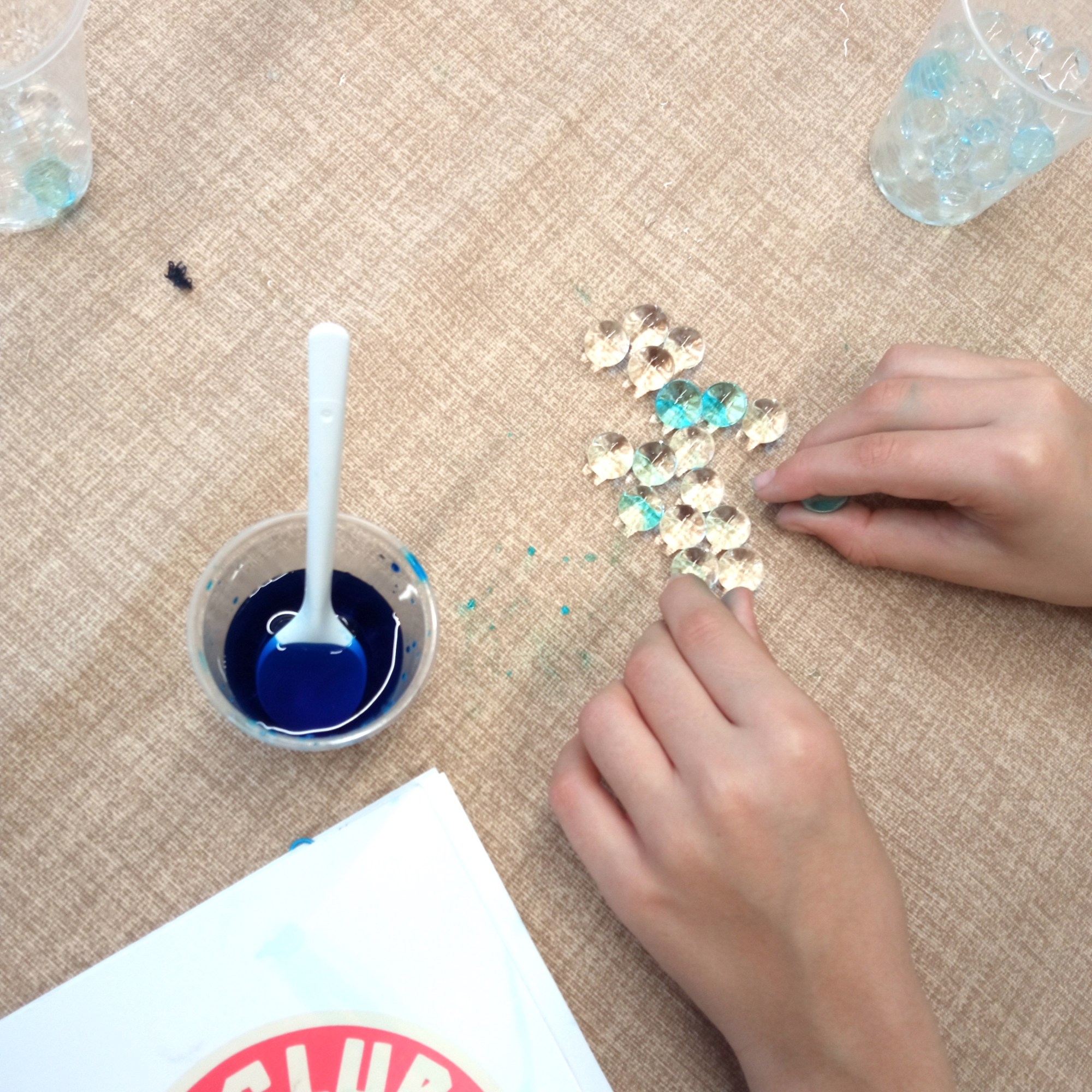 Tallers Escoles Ciència Osmosi Refracció perles d'aigua STEAM