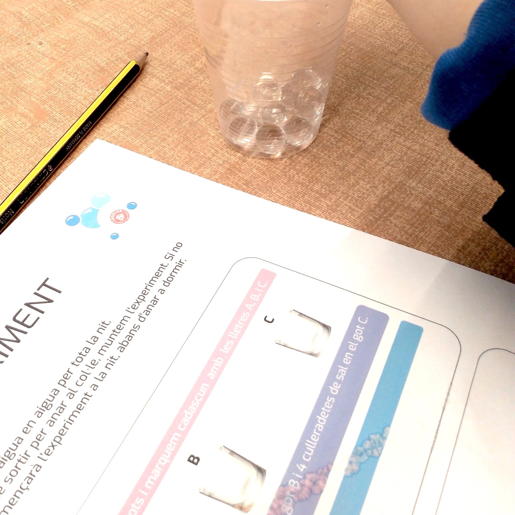 Tallers Escoles Ciència Osmosi Refracció perles d'aigua STEAM