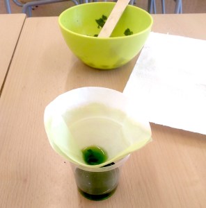 Tallers Escoles Ciència Clorofil·la STEM