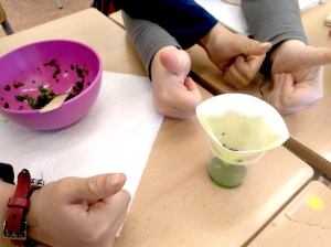 Tallers Escoles Ciència Clorofil·la STEM