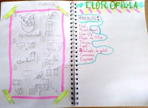 Tallers Escoles Ciència Clorofil·la STEM