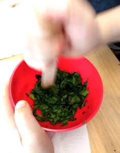 Tallers Escoles Ciència Clorofil·la STEM