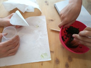 Tallers Escoles Ciència Clorofil·la STEM