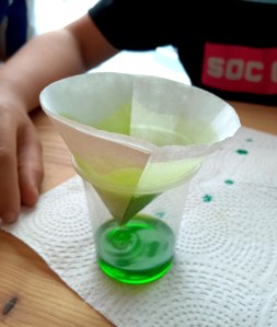 Tallers Escoles Ciència Clorofil·la STEM