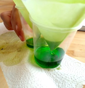 Tallers Escoles Ciència Clorofil·la STEM