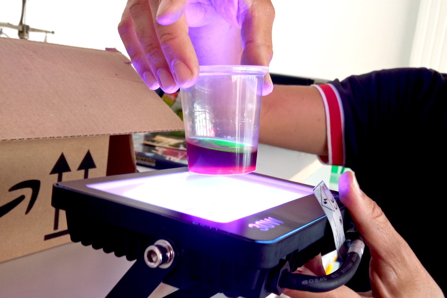 Tallers Escoles Ciència Clorofil·la STEM