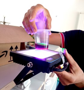 Tallers Escoles Ciència Clorofil·la STEM