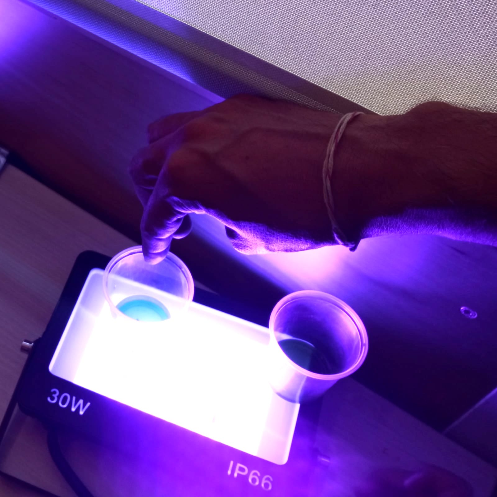 Tallers Ciència Botànica Clorofil·la STEM