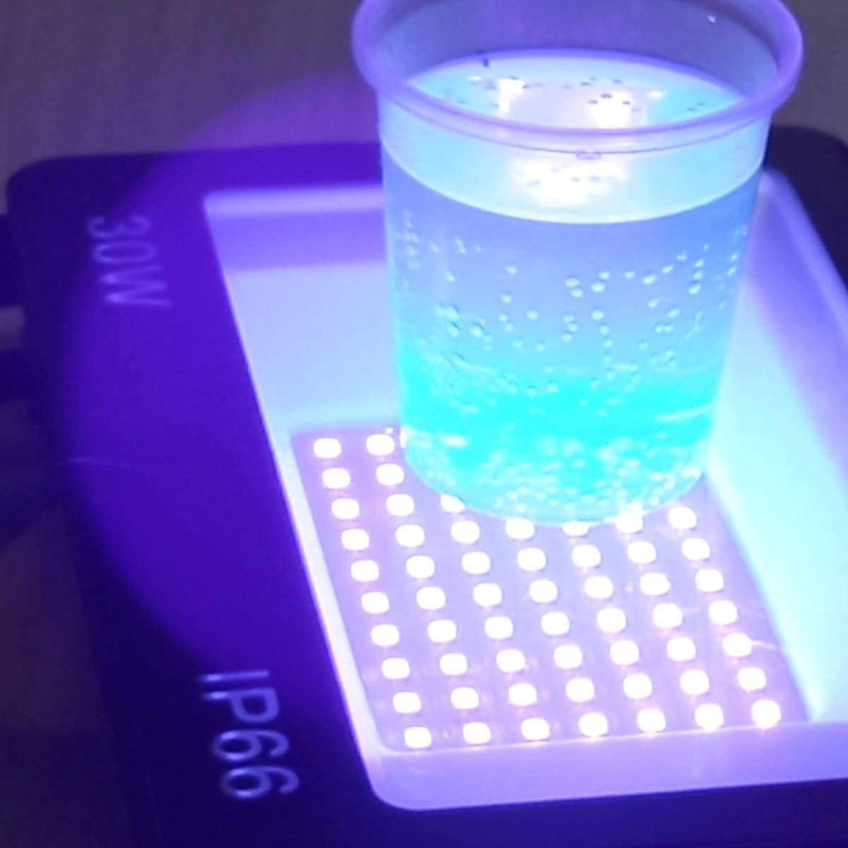 Tallers Ciència Botànica Clorofil·la STEM