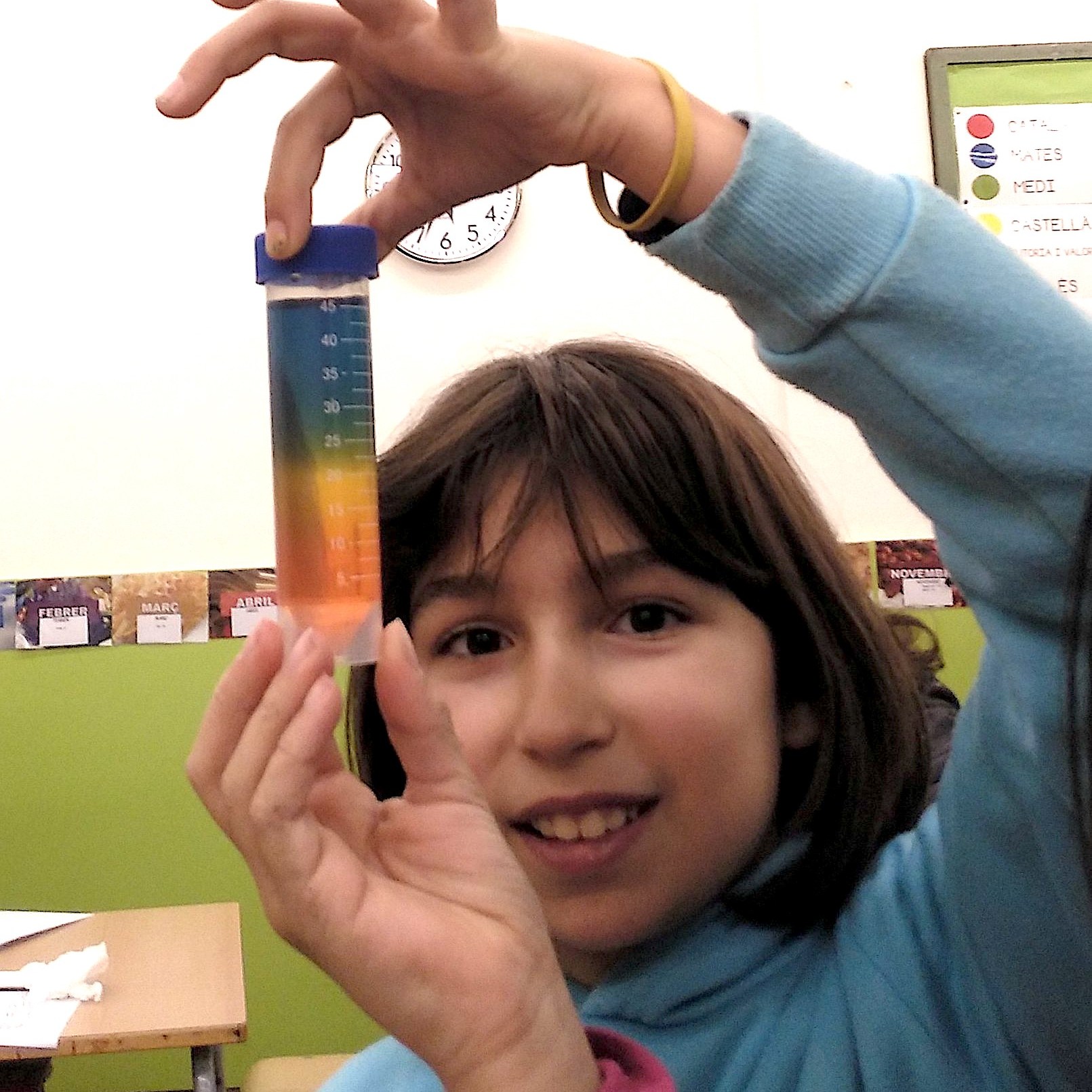 Tallers ciència química-física densitat dels líquids