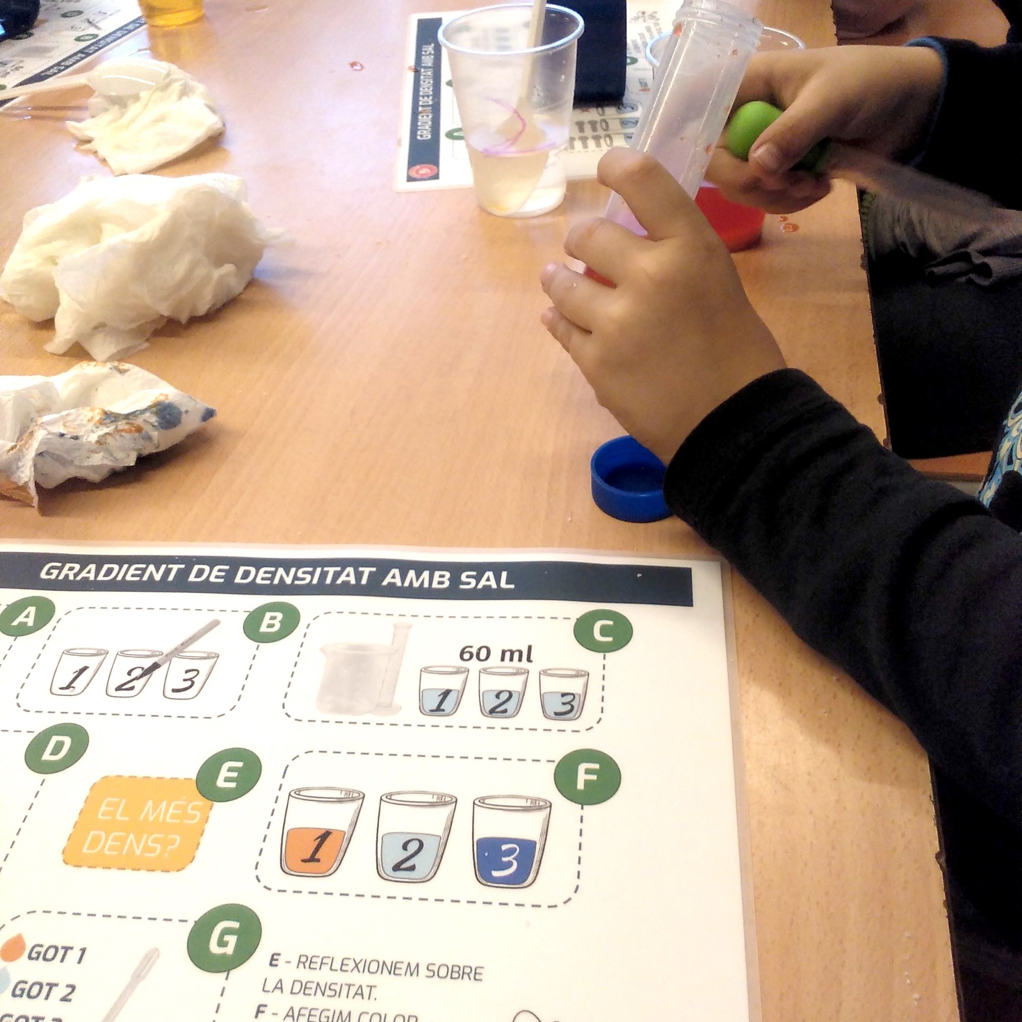 Tallers ciència química-física densitat dels líquids