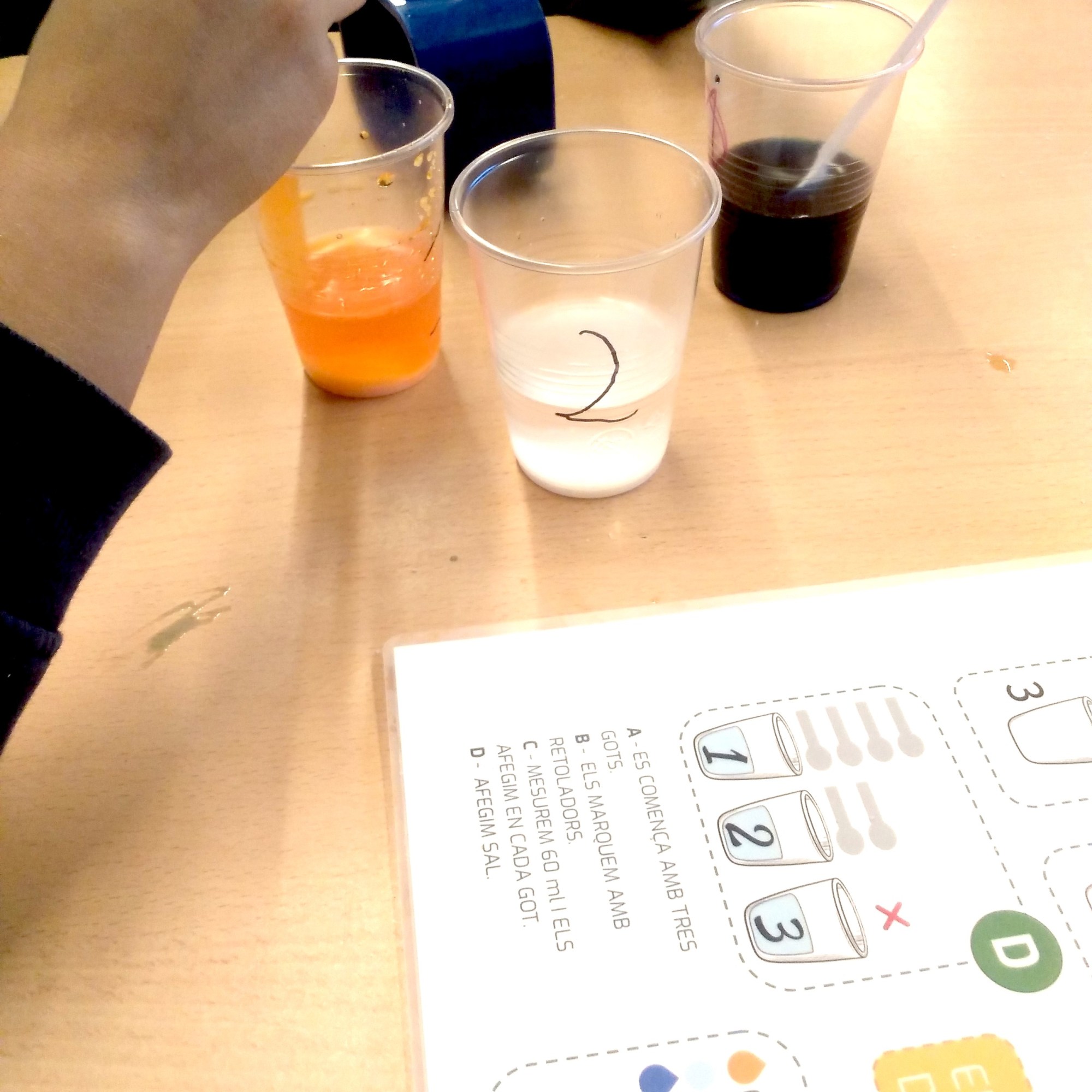 Tallers ciència química-física densitat dels líquids