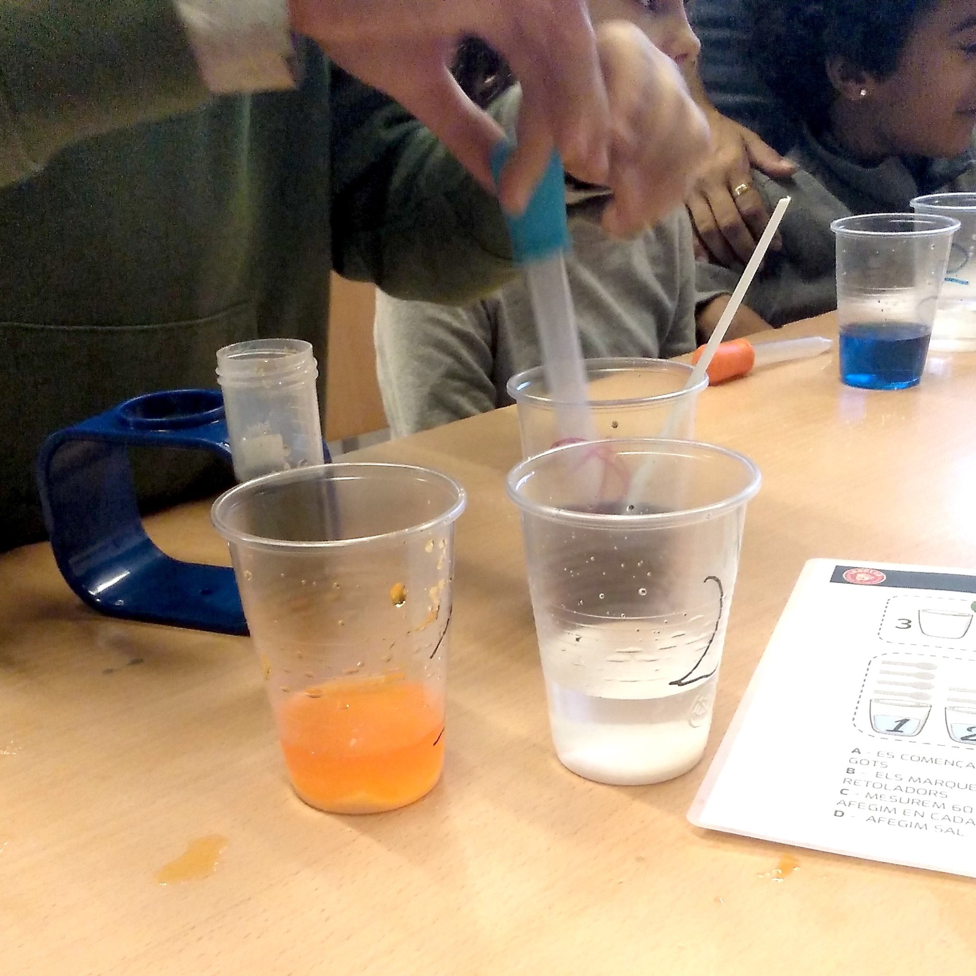 Tallers ciència química-física densitat dels líquids