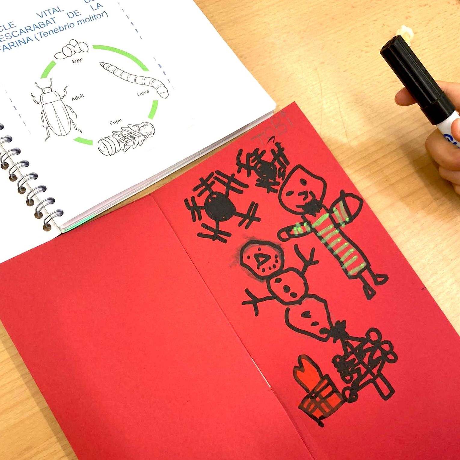 Tallers Tecnologia Maker STEAM Postals de Nadal amb LEDs Circuits elèctrics