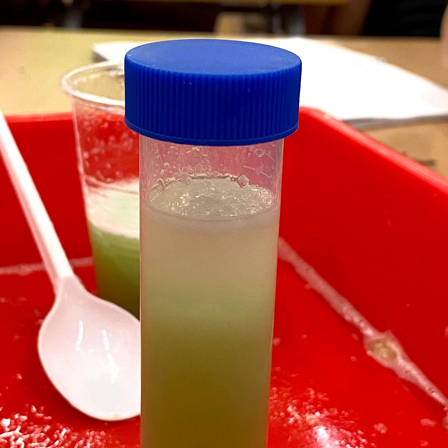 Tallers Extraescolars Biologia Ciència ADN