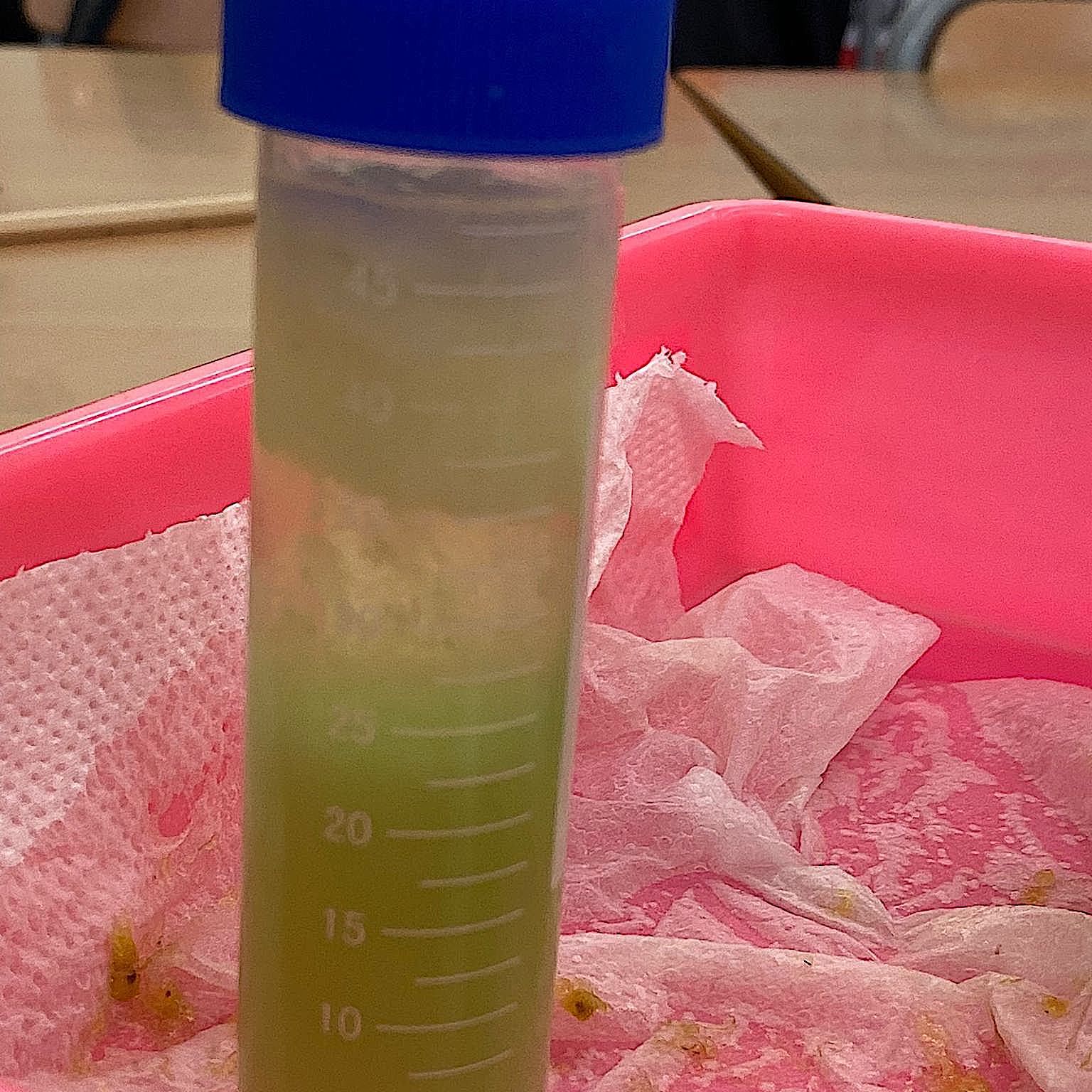 Tallers Extraescolars Biologia Ciència ADN