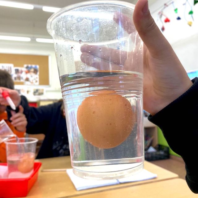 Tallers Escoles Ciència experiments amb ous física STEM