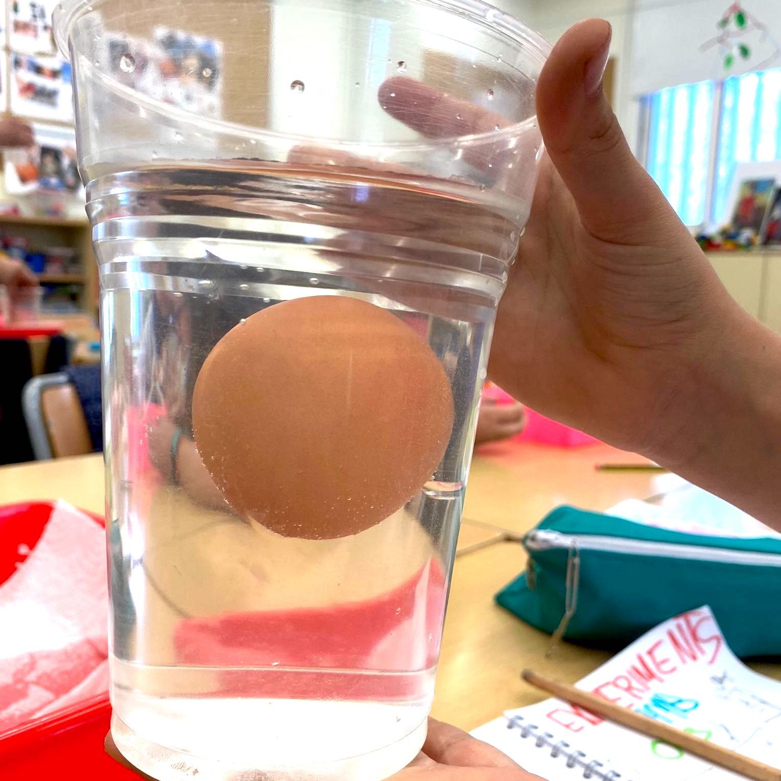 Tallers Escoles Ciència experiments amb ous física STEM