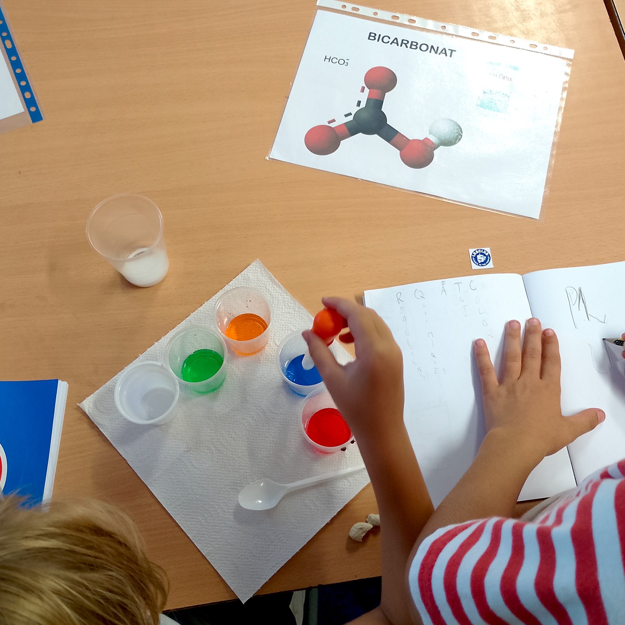 Tallers Extraescolars Química reaccions àcid base