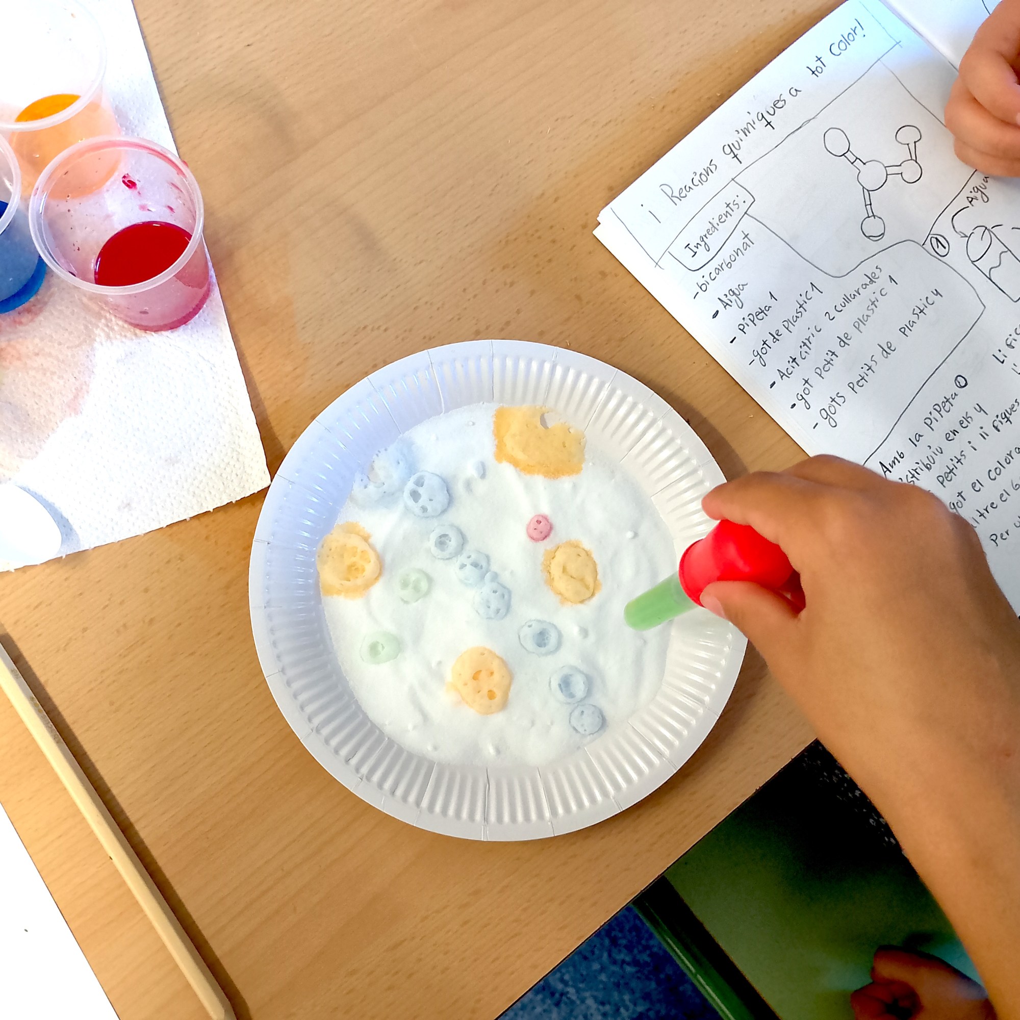 Tallers Extraescolars Química reaccions àcid base