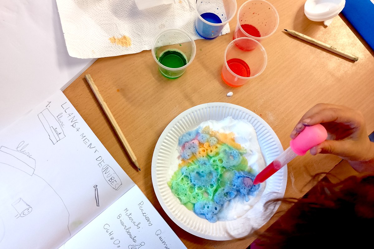 Tallers Extraescolars Química reaccions àcid base